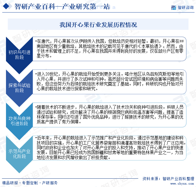 我国开心果行业发展历程情况