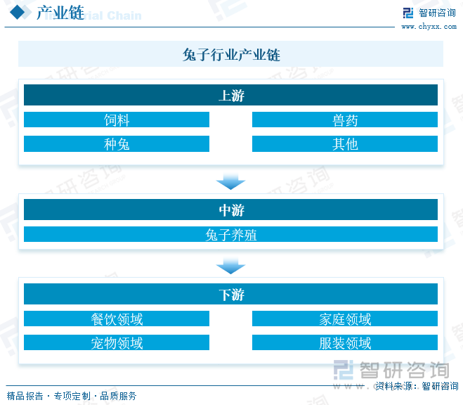 我国兔养殖行业产业链涵盖了上游的饲料供应、兽药、兔种繁育，中游的养殖生产，以及下游的产品需求领域。上游环节主要提供养殖所需的饲料和优质兔种，其质量和供应稳定性直接影响中游养殖的效益。中游养殖生产是产业链的核心，包括规模化、标准化和科学化的养殖管理，旨在提高兔子的生长速度和品质。下游环节则通过深加工将兔肉、兔毛等转化为高附加值产品，并通过超市、餐饮等渠道销售给下游餐饮、家庭、宠物和服装等领域消费者。兔子行业产业链