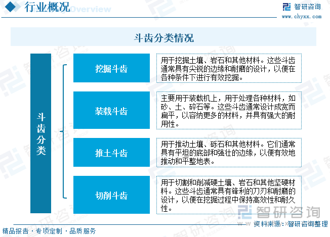 斗齿分类情况