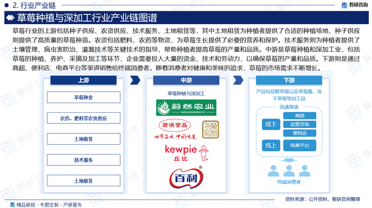 草莓行业下游渠道主要是商超、便利店、电商平台等，这些渠道对行业的影响程度取决于草莓及制品的畅销程度以及双方的议价能力。终端消费者位于整个产业链的末端，消费者的购买能力和消费偏好对行业的生产经营具有直接影响。随着消费者对健康和美味的追求，草莓及草莓加工品的市场需求正不断增长。