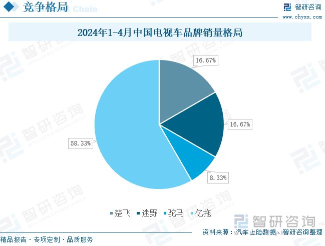 2024年1-4月中国电视车品牌销量格局