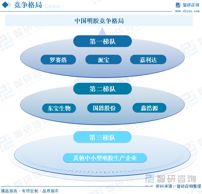 中国明胶竞争格局