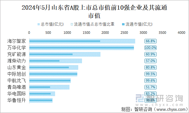 2024年5月山东省A股上市总市值前10强企业及其流通市值