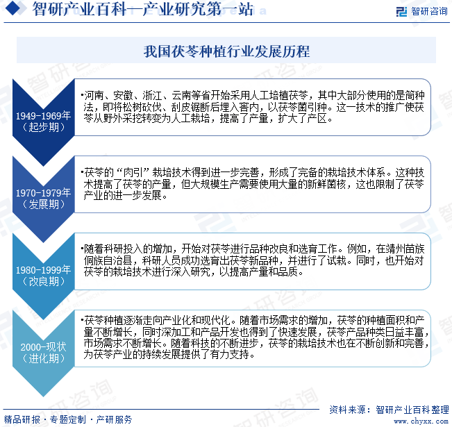 我国茯苓种植行业发展历程