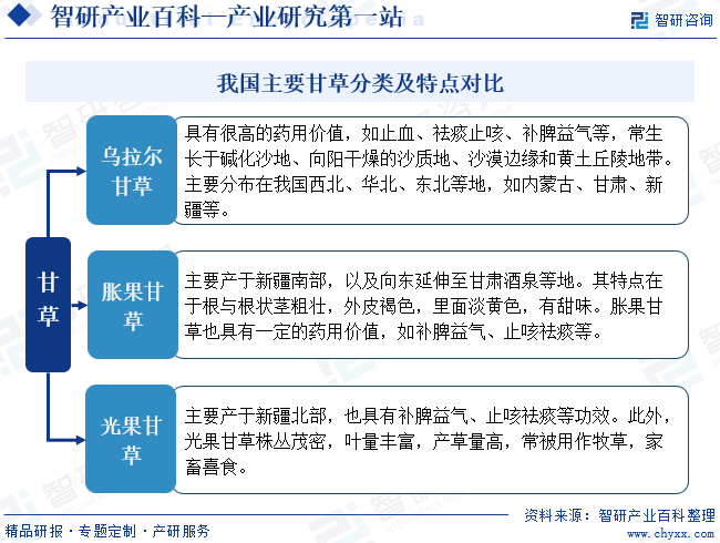 我国主要甘草分类及特点对比