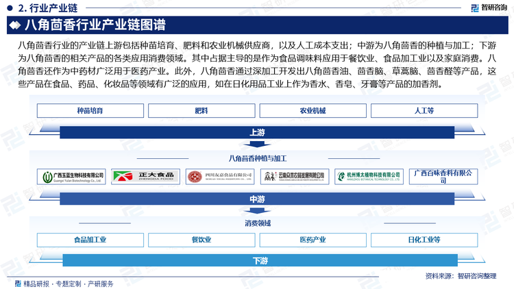 八角茴香行业的产业链上游包括种苗培育、肥料和农业机械供应商，以及人工成本支出；中游为八角茴香的种植与加工；下游为八角茴香的相关产品的各类应用消费领域。其中占据主导的是作为食品调味料应用于餐饮业、食品加工业以及家庭消费。八角茴香还作为中药材广泛用于医药产业。此外，八角茴香通过深加工开发出八角茴香油、茴香脑、草蒿脑、茴香醛等产品，这些产品在食品、药品、化妆品等领域有广泛的应用，如在日化用品工业上作为香水、香皂、牙膏等产品的加香剂。