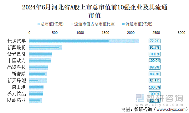 2024年6月河北省A股上市总市值前10强企业及其流通市值