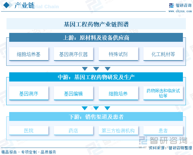 基因工程药物产业链图谱