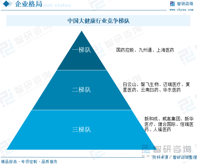 中国大健康行业竞争梯队