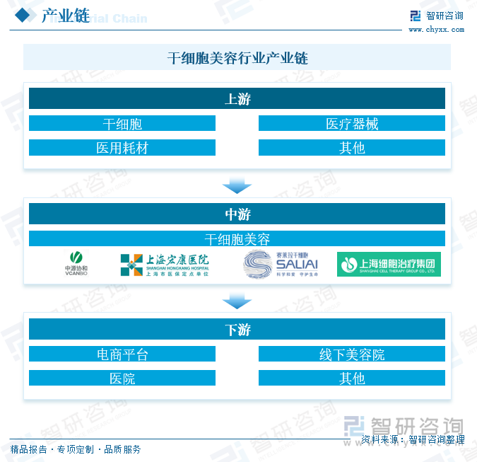 干细胞美容行业产业链