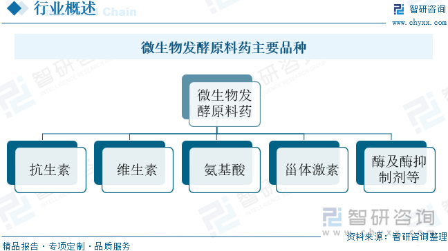 微生物发酵原料药主要品种
