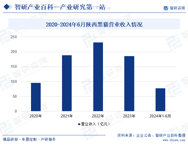 2020-2024年6月陕西黑猫营业收入情况