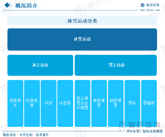 冰雪运动分类