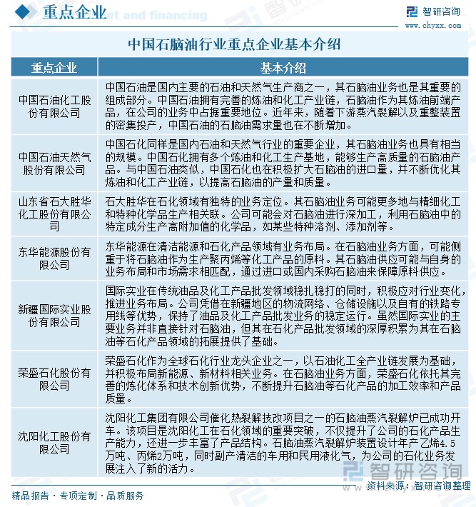中国石脑油行业重点企业基本介绍