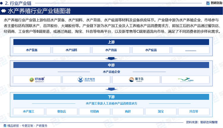 水产养殖行业产业链上游包括水产装备、水产饲料、水产育苗、水产疫苗等材料及设备供应环节。产业链中游为水产养殖企业，市场参与者主要包括有国联水产、百洋股份、大湖股份等。产业链下游为水产加工业及人工养殖水产品消费需求方，即加工后的水产品通过餐饮店、经销商、工业客户等B端渠道，或通过商超，淘宝、抖音等电商平台，以及新零售等C端渠道流向市场，满足了不同消费者的多样化需求。