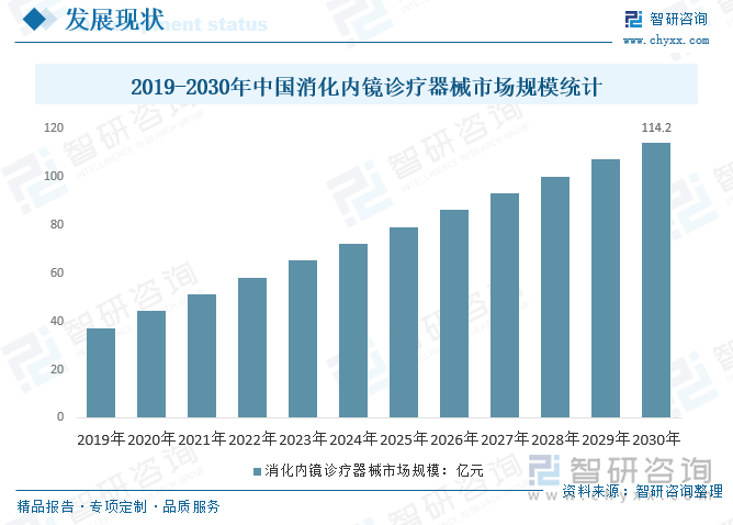 2019-2030年中国消化内镜诊疗器械市场规模统计